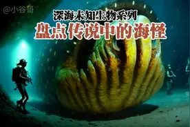 盘点传说中的海怪：体型最大的超出你的想象