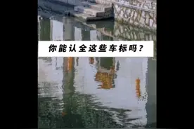 带你认识所有车标视频封面