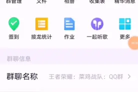 能不能加我QQ群一起玩王者荣耀视频封面