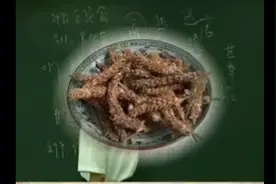 倪海厦：夏枯草的功效视频封面