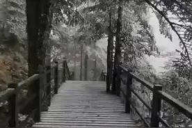 初冬雾凇正当时，快来轿子雪山赴一场冬韵之约图片