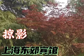 星月妈妈带朋友们看看中央领导们住的地方上海东郊宾馆