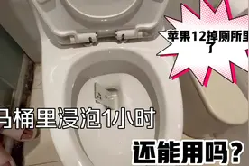 新买的苹果12掉厕所里了，在马桶里浸泡1小时，这还能用吗？视频封面
