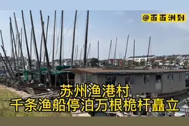 千条渔船停泊万根桅杆矗立！这个美丽渔村，静静的躺在太湖怀抱中视频封面