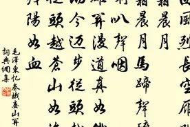毛泽东和李白的《忆秦娥》，你更喜欢哪一首？视频封面