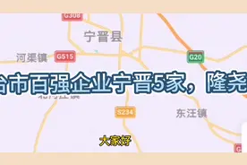 邢台市百强企业宁晋县有5家，隆尧县有4家！视频封面