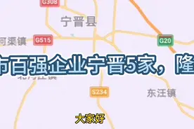 邢台市百强企业宁晋县有5家，隆尧县有4家！视频封面