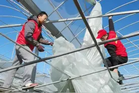 狂风过后，村民抢修果蔬大棚图片