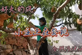 还有啥不会干的？东北女人真能够，田间地头过日子一把好手！视频封面