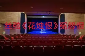 石家庄丝弦《花烛恨》选段.冤怨恨.安禄昌视频封面