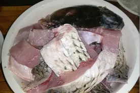 教你家常炖鲤鱼的做法，非常简单又好吃，肉质鲜嫩不腥不柴视频封面