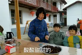 酸酸甜甜的杨梅干蜜饯，小孩都爱吃，超简单的制作方法视频封面