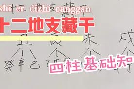四柱基础知识，十二地支藏干的找法与实际运用方法详解视频封面