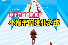 小猴子的进化之路，来看猴子的智商有多高！