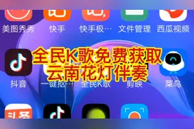 全民K歌免费获取
云南花灯伴奏视频封面