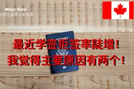 学签拒签率陡增，原因应该是这两个视频封面