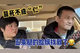 粉身碎骨也不怕，要留清白在人间！五条腿的蛤蟆找到了😂！视频封面