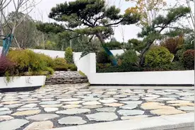江苏省徐州市国际园林博览会，打卡国际友好城市园林景观视频封面