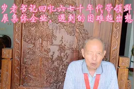 纪念毛主席给巩县乡镇企业题词特别节目：伟大光辉灿烂的希望视频封面