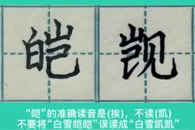 “皑”与“觊”你知道准确的读音吗🤔视频封面