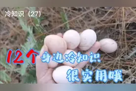 别再被忽悠了，12个身边冷知识告诉你不要再花冤枉钱了！视频封面