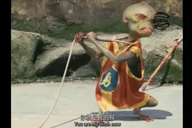 巴甫洛夫的条件反射是怎么样？猴子告诉你。视频封面