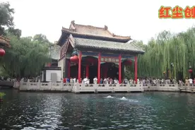 即日起这些人在济南：可以免费乘坐公交地铁，免门票游玩公园景区视频封面