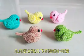 旧毛线不要丢，用它来钩几只胖嘟嘟的小幼鸟吧，既简单又好学