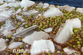 荔枝为什么要泡水？有人说是药水，你知道荔枝泡水的作用吗？视频封面