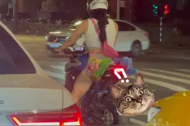 分不清男女摩托车视频封面