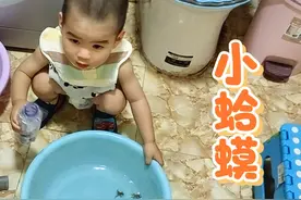 萌娃跟奶奶出去捉了三只小蛤蟆，爸爸回来惊呆了，还给小蛤蟆加油视频封面