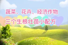 三个生根壮苗小配方，种植蔬菜和花卉，效果比买的生根肥还好视频封面