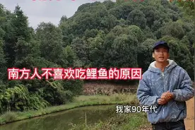 南方为什么不吃鲤鱼？也没有鲤鱼卖。养鱼24年见证了鲤鱼养殖兴衰