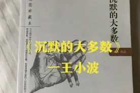 《那些不为人知的声音》视频封面