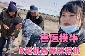 实拍东北牛集现场，兽医摸牛检查是否怀孕，100块挣得真不容易视频封面