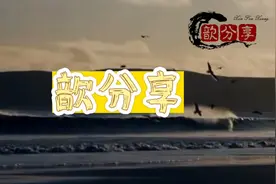 奇妙旅行视频封面