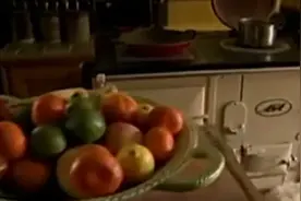 （第二集）四维动画呈现狗狗从受孕到出生的过程