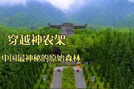 摩旅中国最神秘的原始森林，神农架，一个未被国家完全开放的禁地视频封面