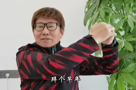 麻将六字真经 战之必胜 赠送广大牌友们 祝大家新年如意快乐视频封面