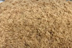 原来肉松是这样做出来的，家有孩子的宝妈和烘焙爱好者快点收藏啦视频封面