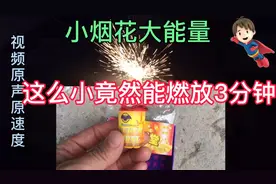 网红烟花-金玉满堂！小烟花大能量！适合儿童的烟花一个燃放3分钟