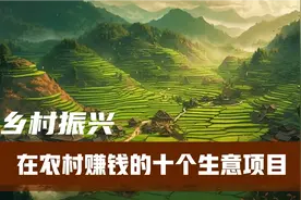 在农村适合的10个生意 都是值得一试 看看你听过几个视频封面