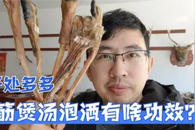 给粉丝大姐发了两斤鹿脚筋，搭配林下参鹿茸片泡酒，补气血强筋骨视频封面