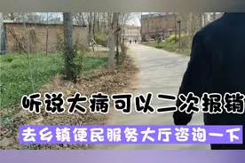 远惜听说大病可以二次报销，今天去乡镇便民服务大厅咨询一下视频封面