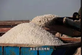 古代官府为何禁止私人买卖食盐呢？视频封面