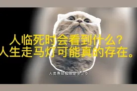 人临死时会看到什么？人生走马灯可能真的存在。