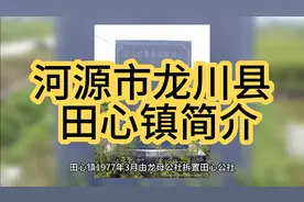 广东省河源市龙川县田心镇简介