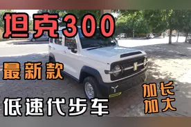 坦克300，最新款加长款代步车，豪华高配