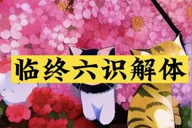这个视频涉及到了佛法非常重要的知识“八识”，让你远离死亡恐怖视频封面