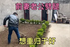 前妻打电话说她老公劈腿，想要重归于好，天道好轮回苍天饶过谁视频封面